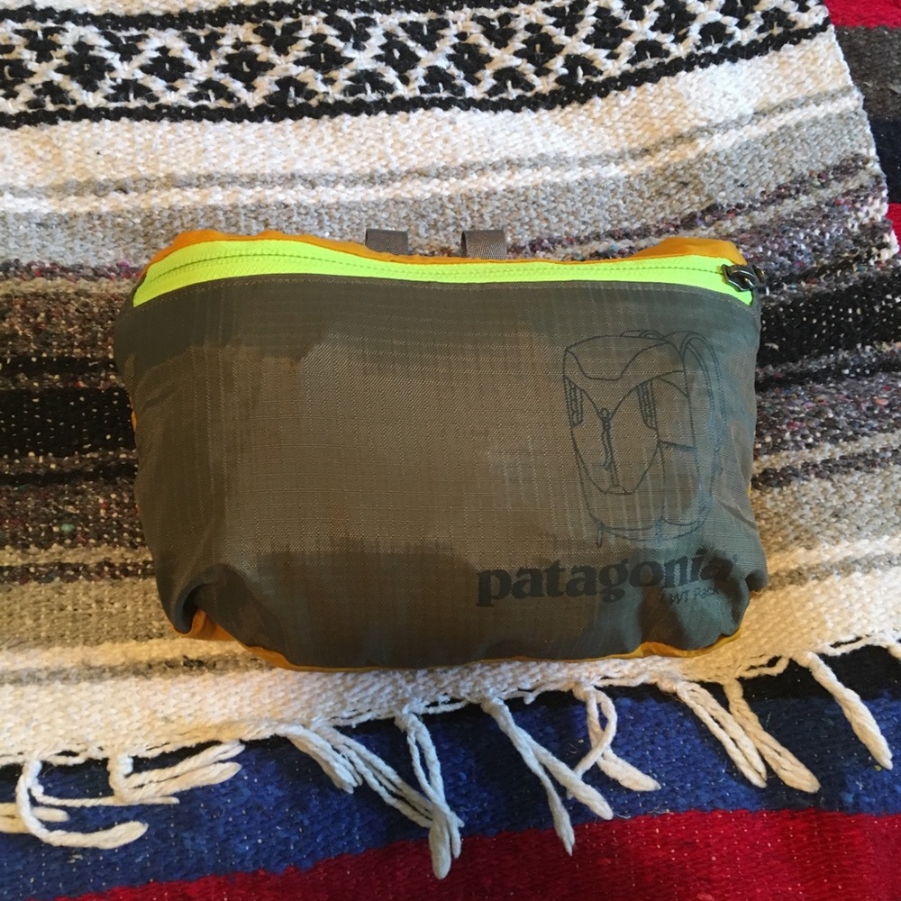 Patagonia lightweight backpack!